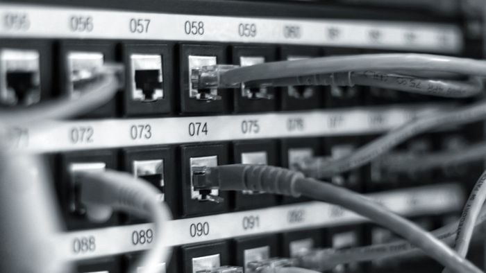 Labelled network patch cables in a rack